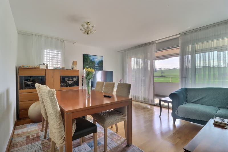 Appartamento 4½ locali balcone sud - ultimo piano (3)