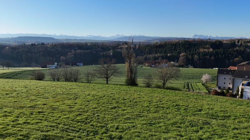 5 pezzi con terrazza, balcone e giardino (2)