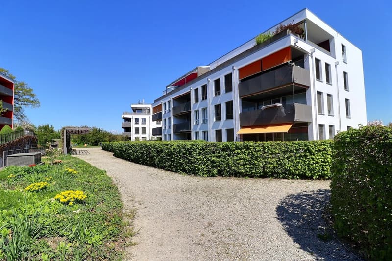4½ pièces au rez avec terrasse et jardin (2)