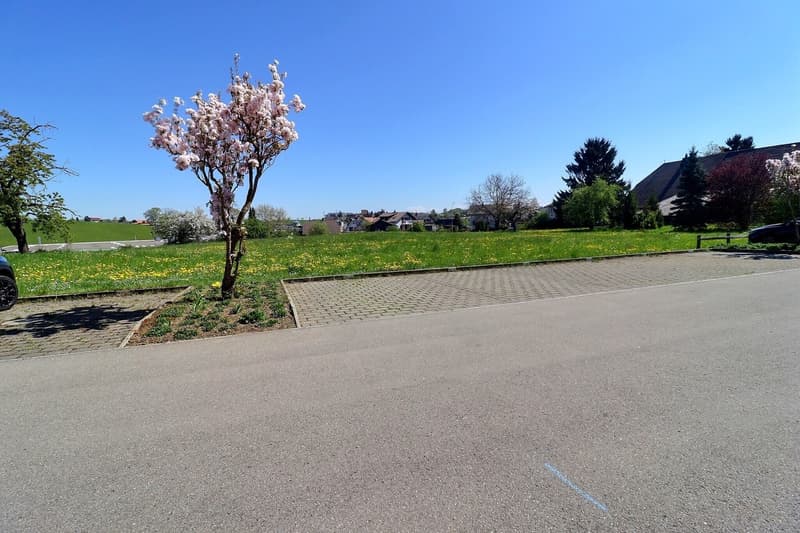 Places de parc visiteurs