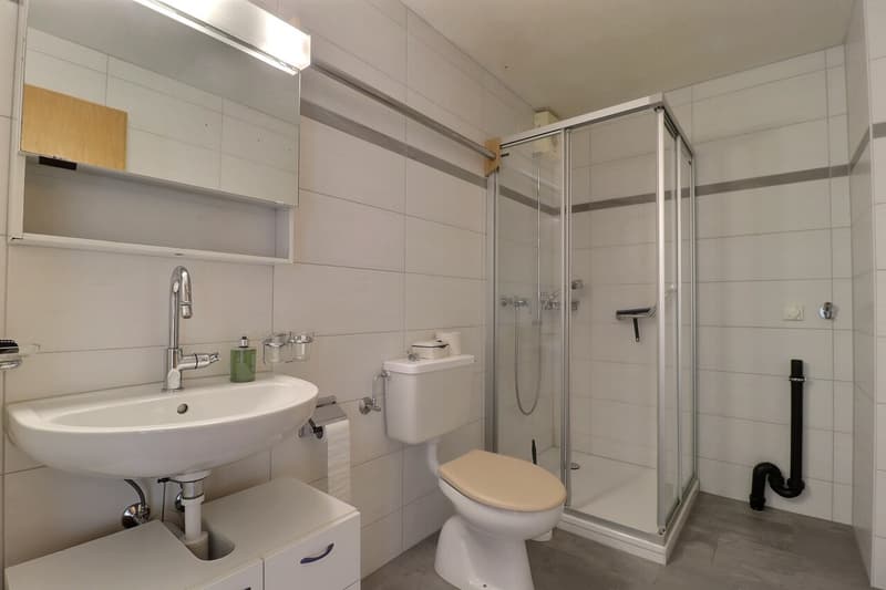 Charmante 4.5-Zimmer-Wohnung mit Balkon und Garage (7)