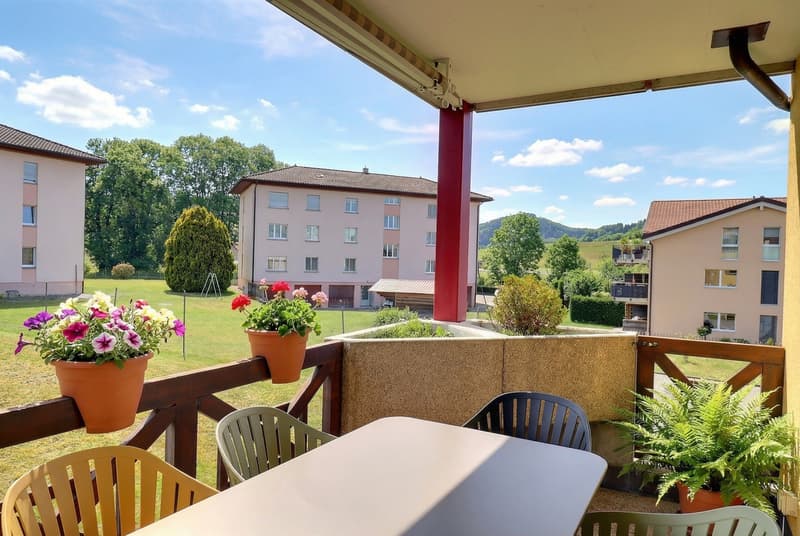 Charmant appartement lumineux de 3,5 pièces avec balcon (6)