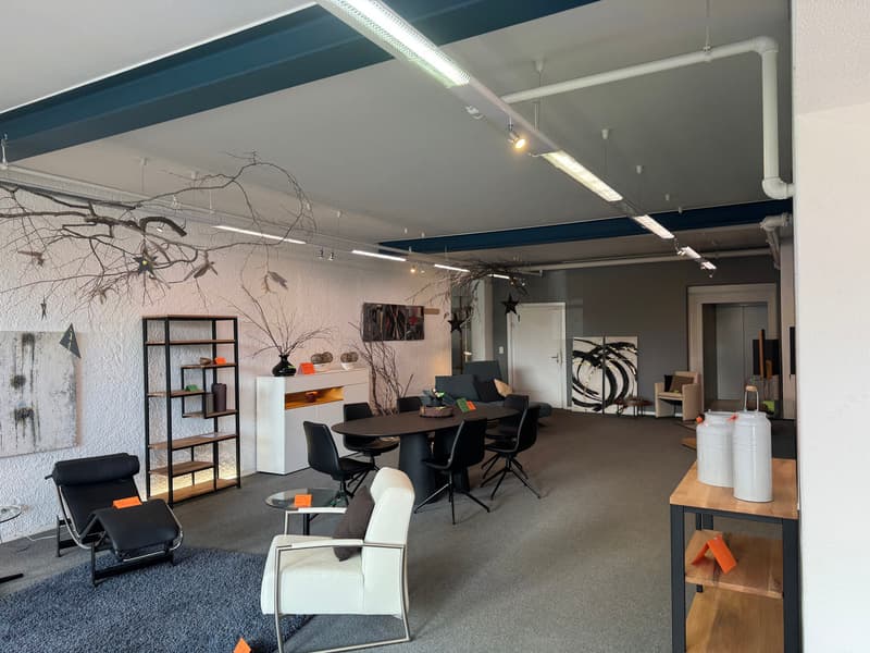 Ensemble immobilier mixte - axe stratégique Fribourg-Berne (4)