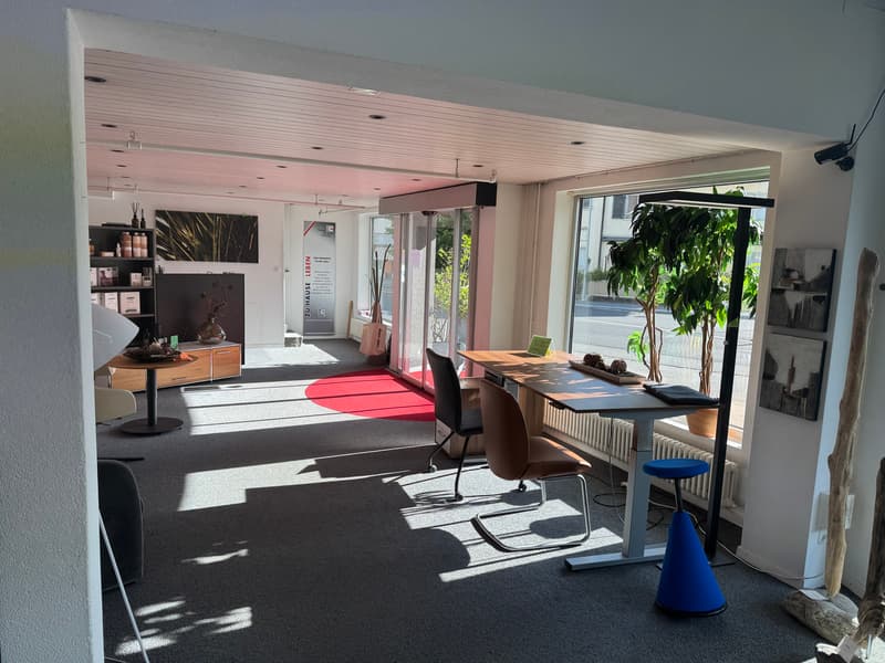 Ensemble immobilier mixte - axe stratégique Fribourg-Berne (1)