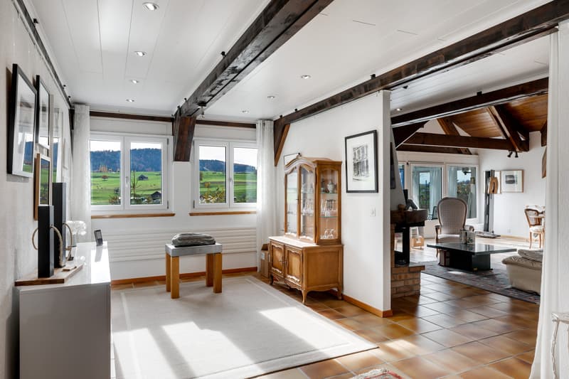 Maison familiale avec vaste atelier au sous-sol (3)