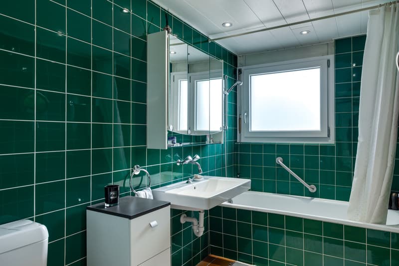 Maison familiale avec vaste atelier au sous-sol (9)