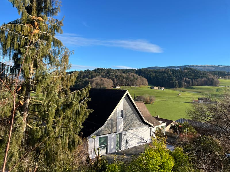 Maison familiale avec vaste atelier au sous-sol (1)