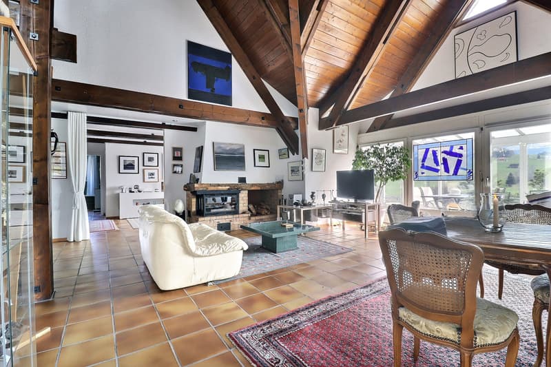 Maison familiale avec vaste atelier au sous-sol (5)