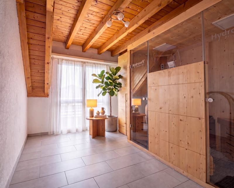 Duplex exclusif de 5.5 pièces en attique avec belle terrasse (3)