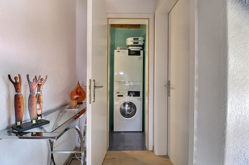 Duplex exclusif de 5.5 pièces en attique avec belle terrasse (13)
