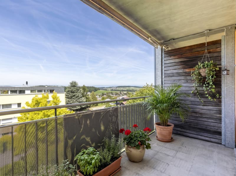 4.5 pièces avec 61 m2 de terrasse au centre-ville de Fribourg (10)