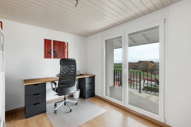Villa contemporaine 6.5 pièces avec appartement indépendant loué (12)