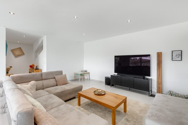Villa contemporaine 6.5 pièces avec appartement indépendant loué (8)
