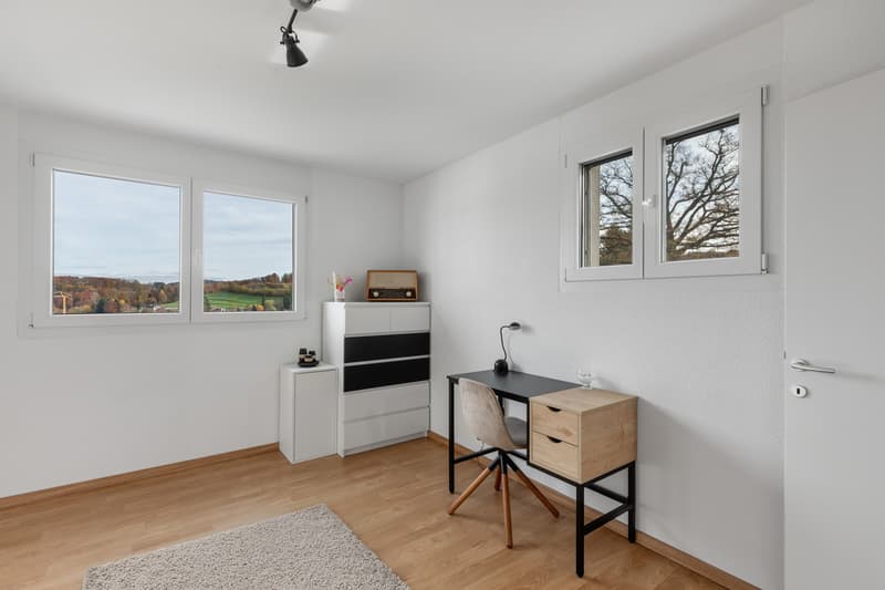 Villa contemporaine 6.5 pièces avec appartement indépendant loué (13)