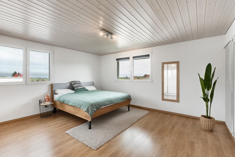 Villa contemporaine 6.5 pièces avec appartement indépendant loué (10)