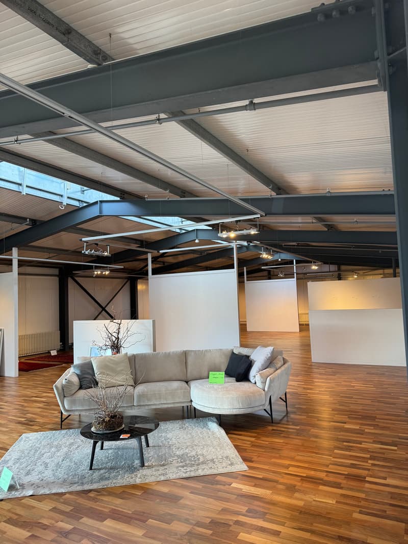 Gemischt genutztes Immobilien-Ensemble / Ensemble immobilier mixte (6)