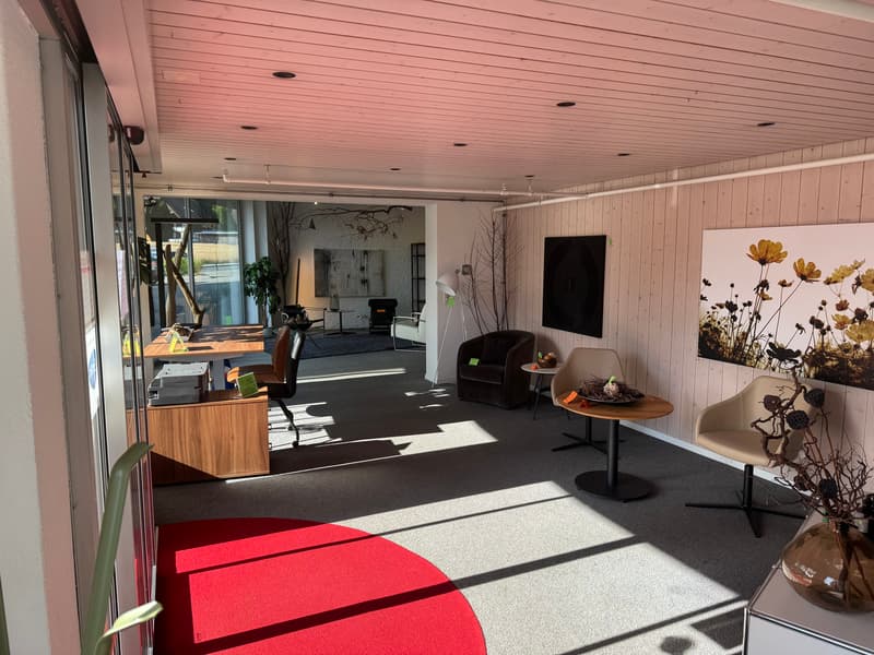 Gemischt genutztes Immobilien-Ensemble / Ensemble immobilier mixte (2)