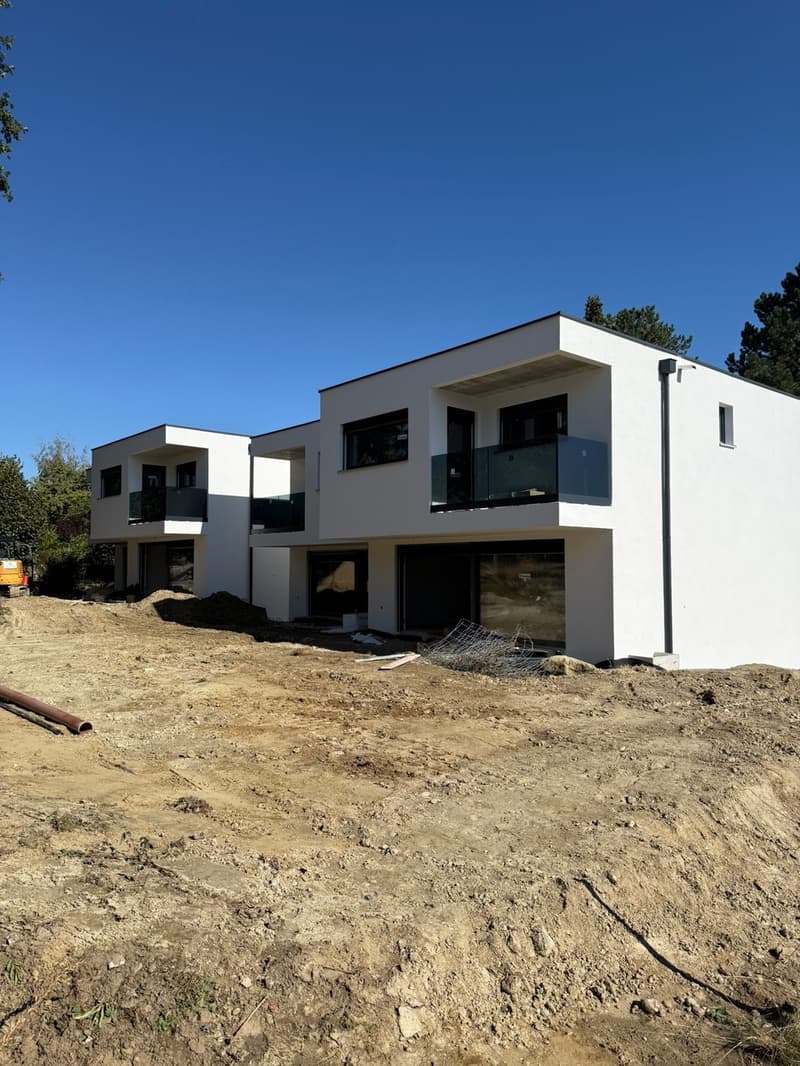Plus que 3 villas ! Venez visiter le chantier ! (1)