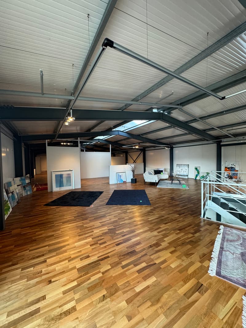 Gemischt genutztes Immobilien-Ensemble / Ensemble immobilier mixte (7)