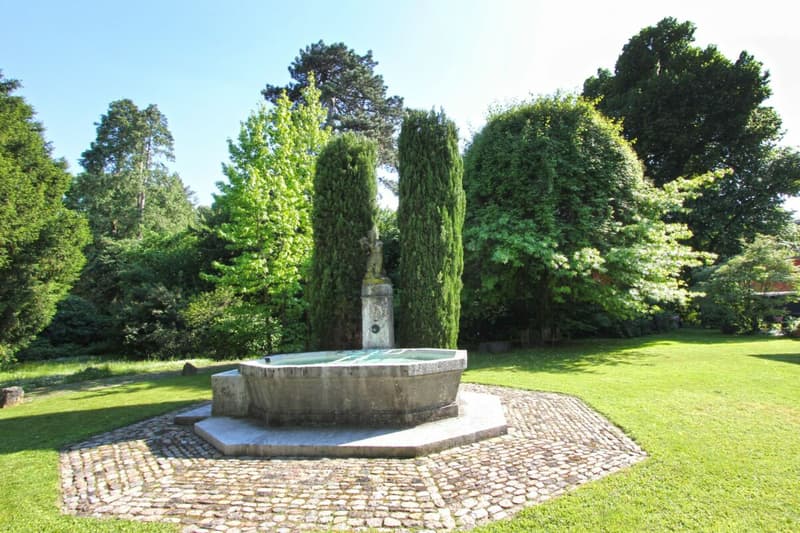 Garten hinter dem Haus für alle Hausbewohner