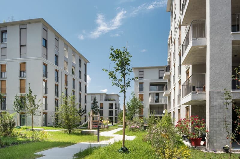 Einstellhallenplatz im Hinterkirch in Reinach (1)