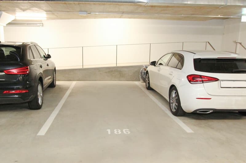 Parking space in Hinterkirch in Reinach (4)