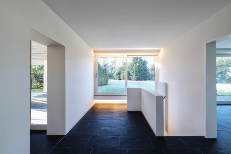 Maison unifamiliale avec grand jardin près du parc Gellert à Bâle (4)
