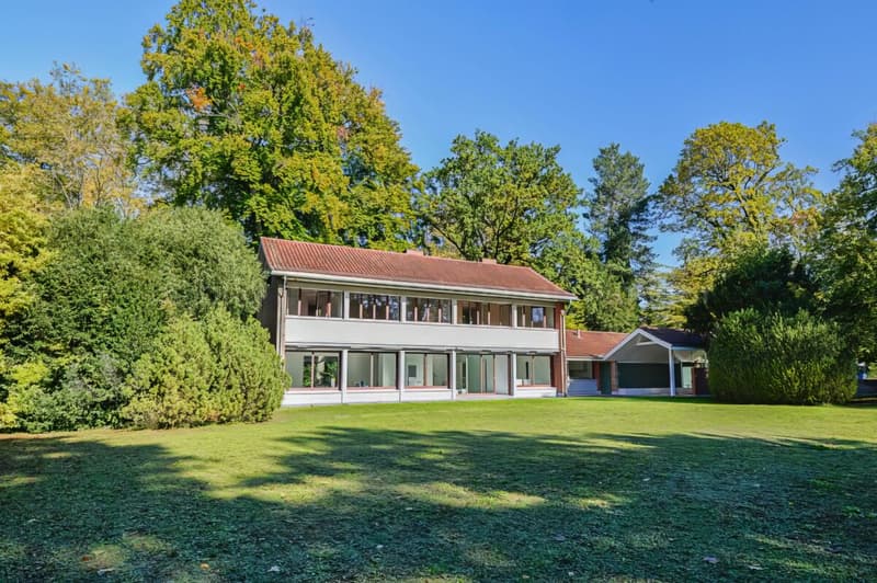 Maison unifamiliale avec grand jardin près du parc Gellert à Bâle (1)