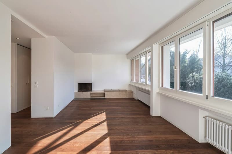 Maison unifamiliale avec grand jardin près du parc Gellert à Bâle (8)