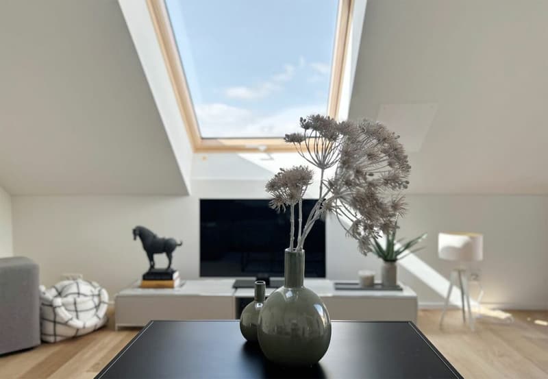 Appartements spacieux au dernier étage avec deux terrasses + belle vue (8)