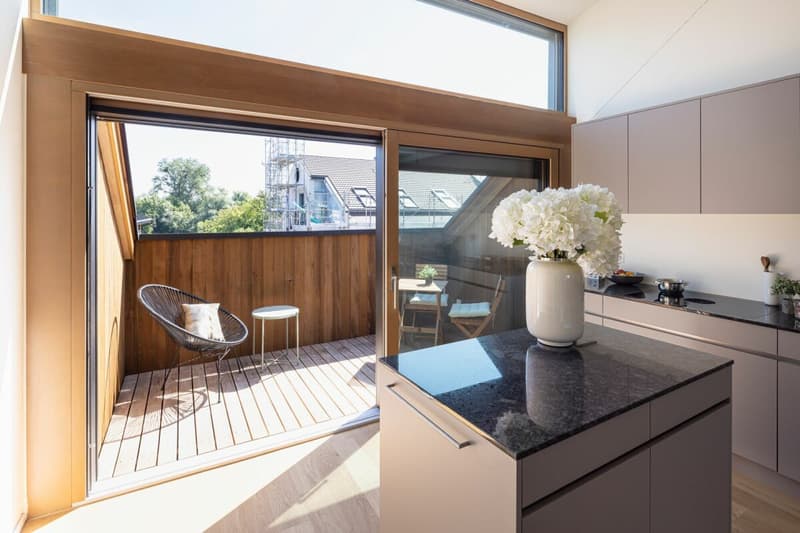 Appartements spacieux au dernier étage avec deux terrasses + belle vue (3)