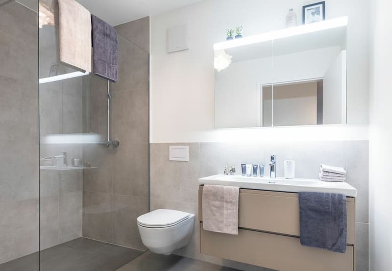 Appartements spacieux au dernier étage avec deux terrasses + belle vue (9)
