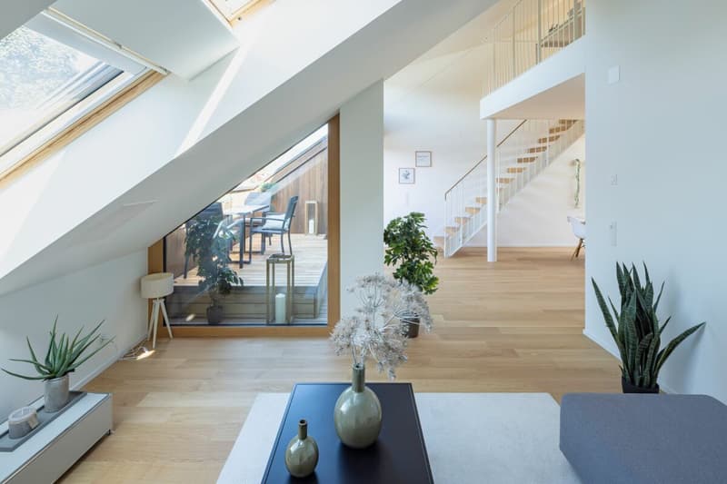 Appartements spacieux au dernier étage avec deux terrasses + belle vue (7)