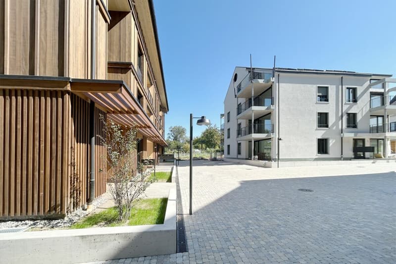 Appartements spacieux au dernier étage avec deux terrasses + belle vue (18)