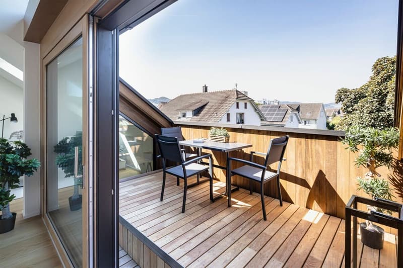Appartements spacieux au dernier étage avec deux terrasses + belle vue (3)