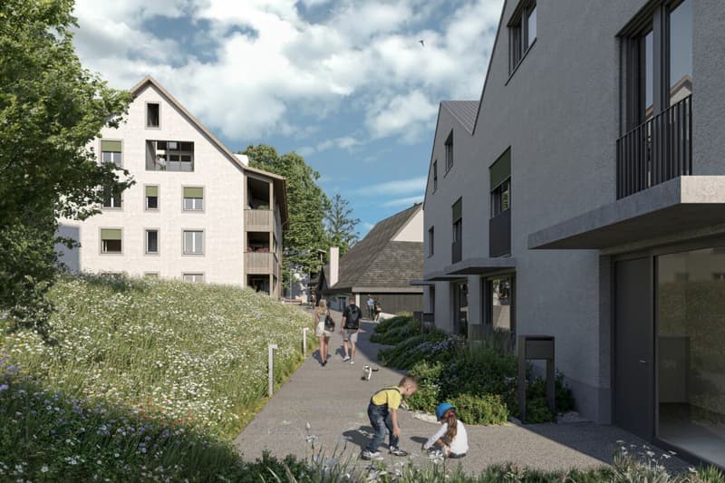 Combination of rural tranquility and modern infrastructure (11)