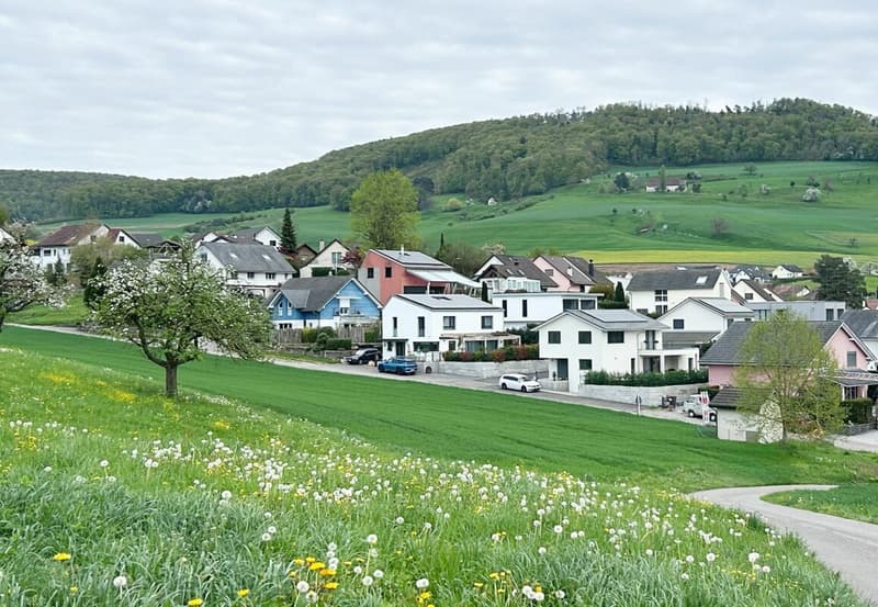 Combination of rural tranquility and modern infrastructure (14)