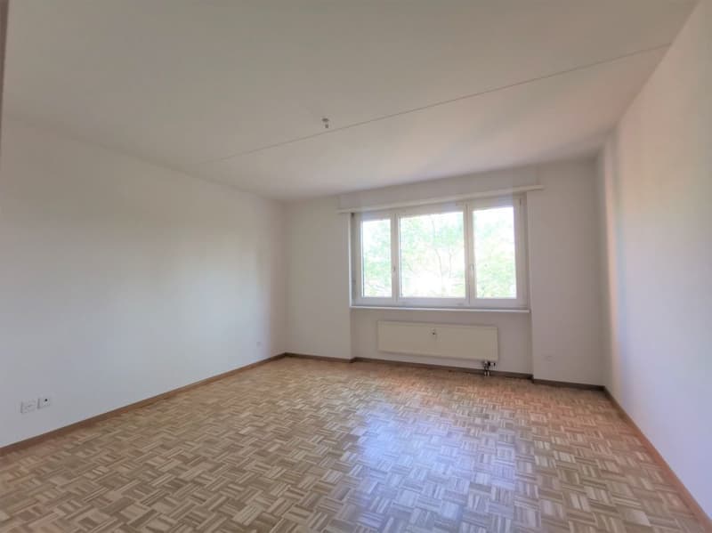 Zimmer