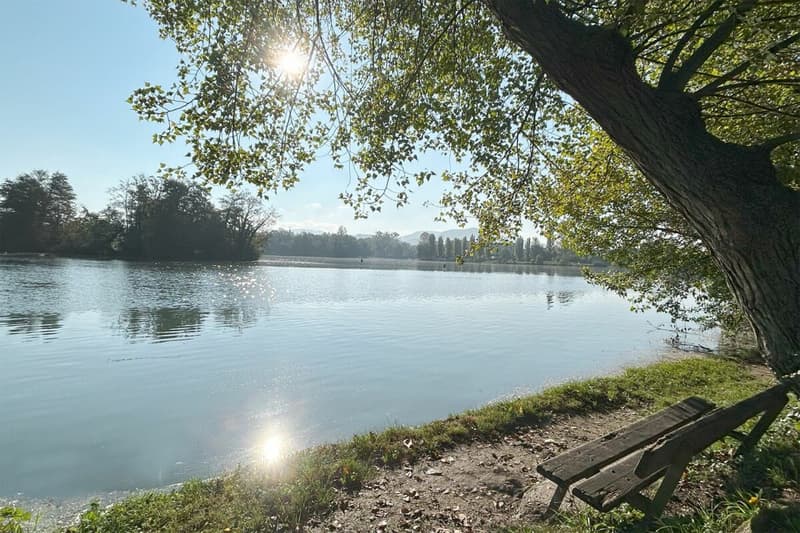 Appartamenti mansardati stilosi 3,5 locali con galleria (13)