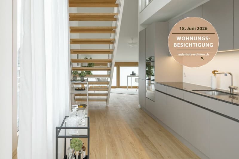 Stylish 3.5-room attic apartments with gallery in Augst BL (1)