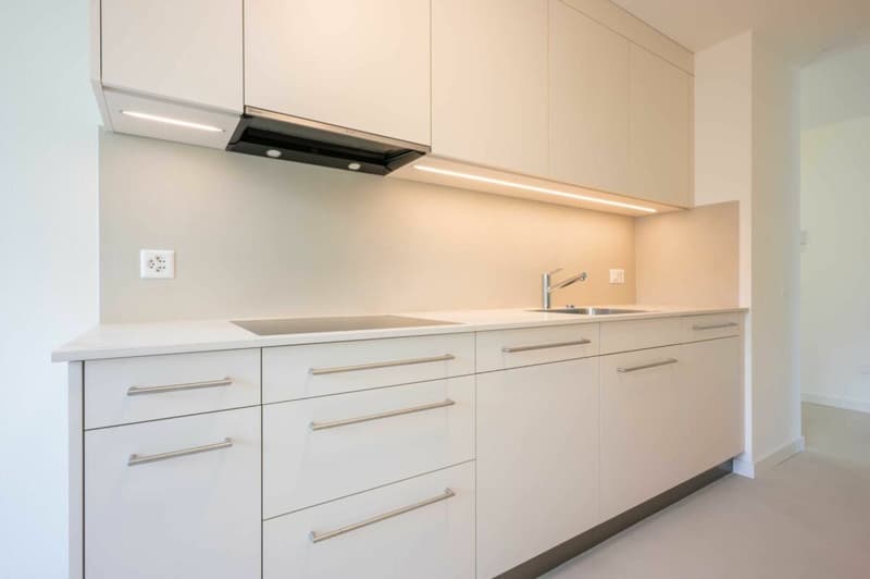 Appartamento moderno 4.5 locali con 2 balconi e posto auto (3)