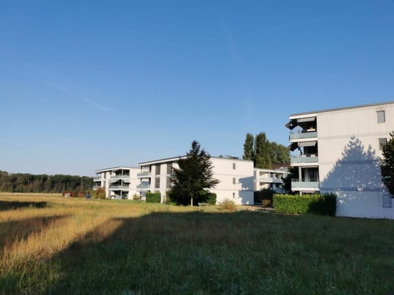 Hobby room in Lindenpark in Möhlin (3)