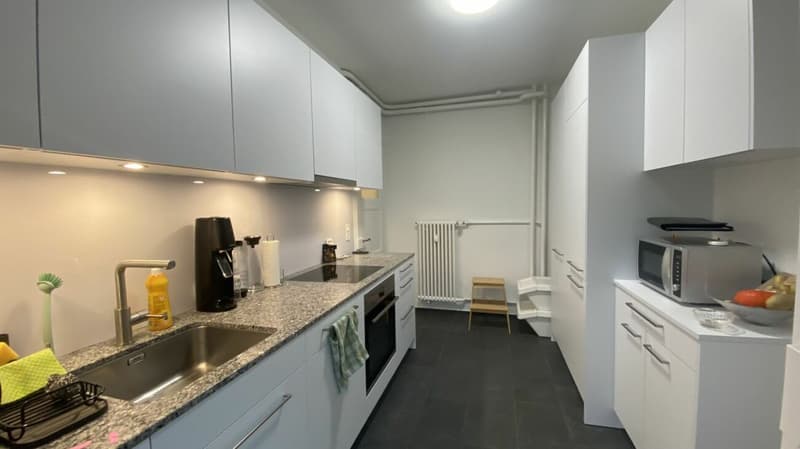 Appartement 3 pièces au 3e étage (2)