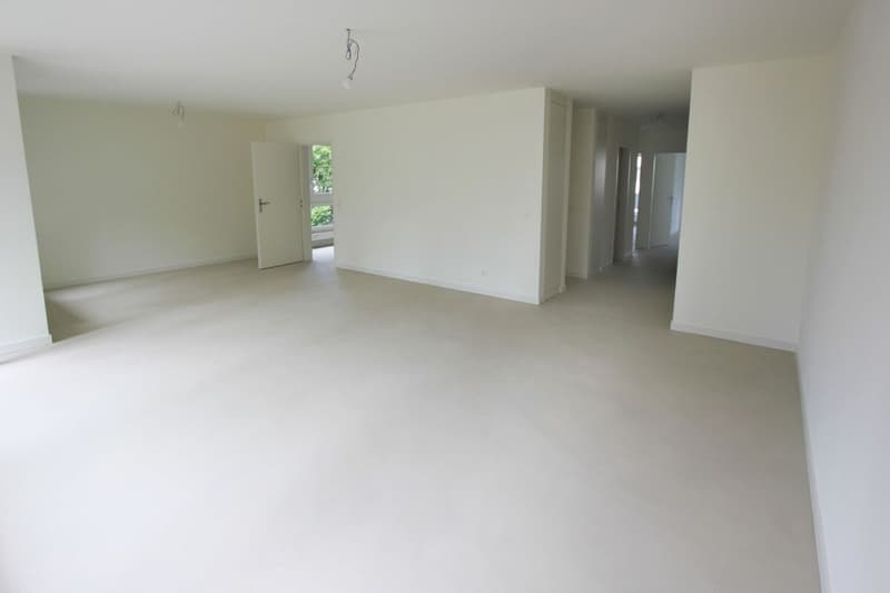 Appartement de 4,5 pièces rénové récemment à proximité de l'International School (3)