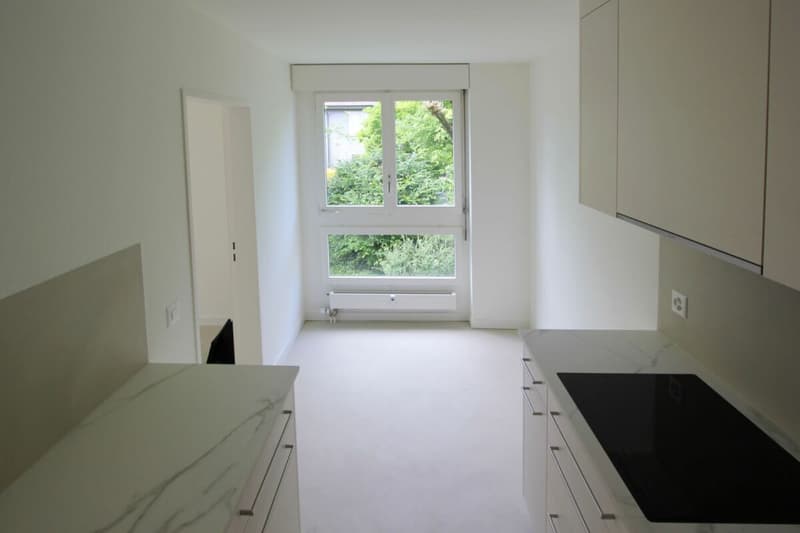Appartement de 4,5 pièces rénové récemment à proximité de l'International School (4)