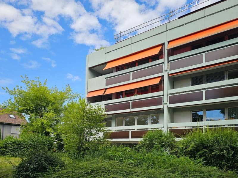 Appartement de 4,5 pièces rénové récemment à proximité de l'International School (13)