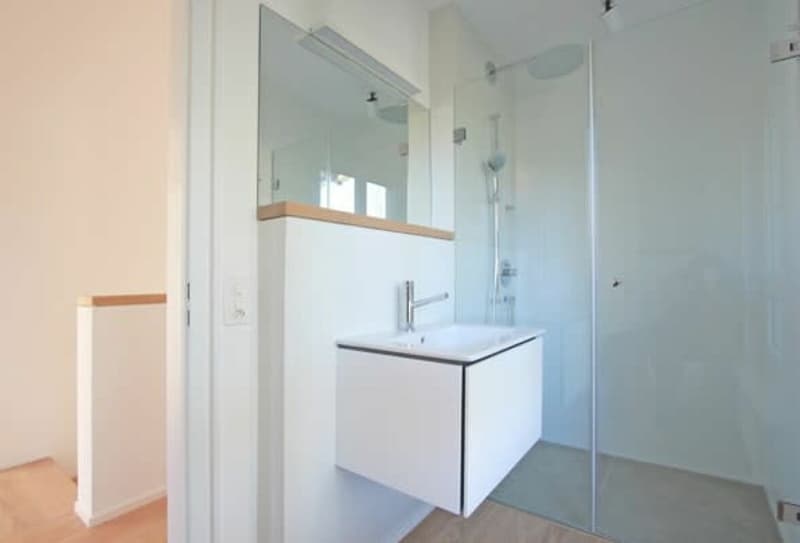 Maison unifamiliale sur le beau Bruderholz - 7 pièces avec piscine et garage double (7)