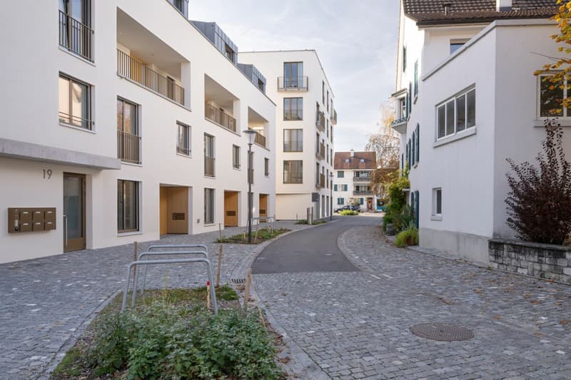 Il tuo rifugio nel cuore di Reinach: Maisonette con giardino privato (18)