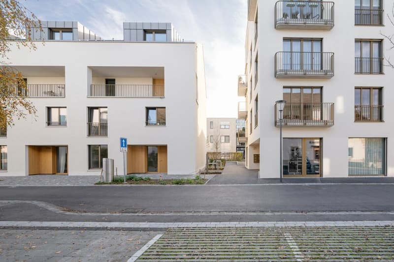 Il tuo rifugio nel cuore di Reinach: Maisonette con giardino privato (10)
