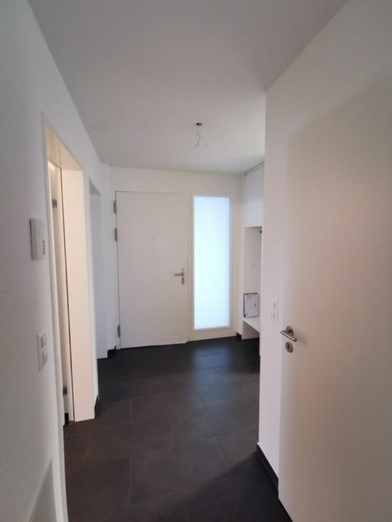 Gemütliche 3.5 Zimmerwohnung im Lindenpark in Möhlin (7)